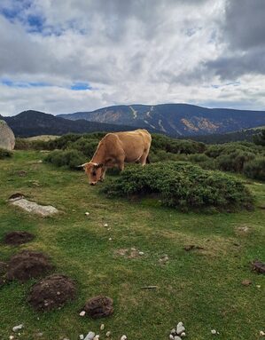 20251014_141238 - Copie.jpg